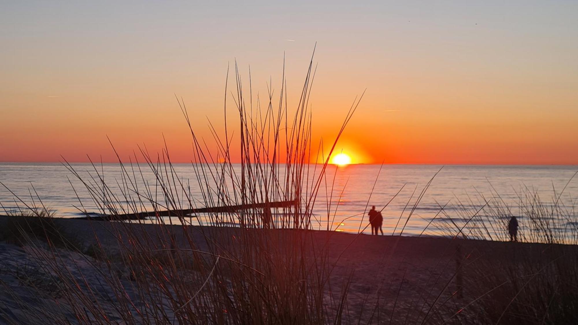 Ferienwohnung Ostsee Graal-Mueritz Kuestenwald Gelbensande エクステリア 写真